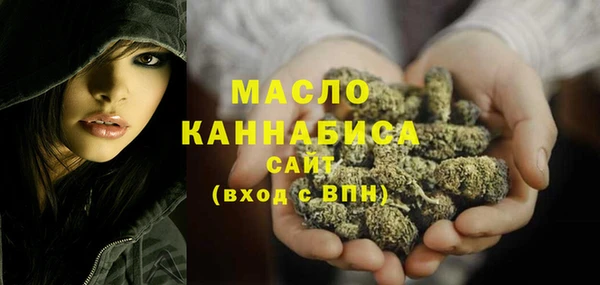 гашик Арсеньев