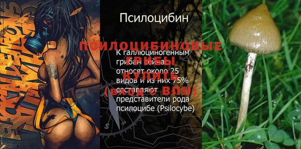 MESCALINE Аркадак