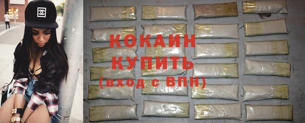гашик Арсеньев