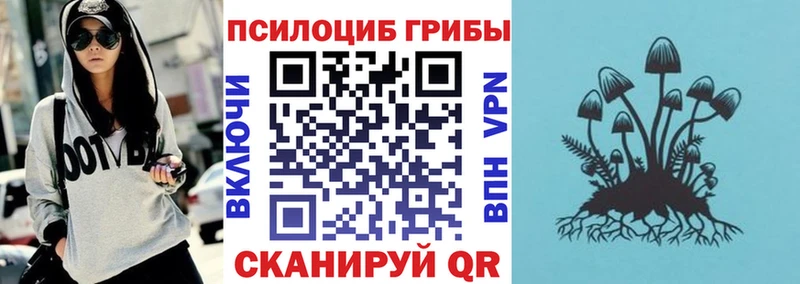 Псилоцибиновые грибы Psilocybe  Купить где  Тимашёвск 